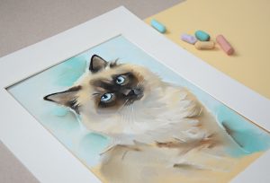 сиамский кот, портрет кота невской маскарадной