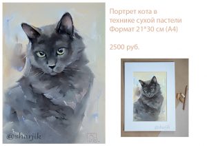 портрет серого кота, британский кот, серая кошка