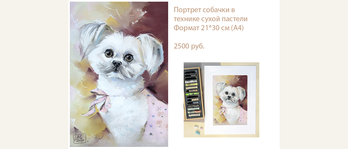 портрет болонки, картина с собаками, портрет питомца