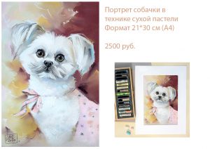Портрет Ши Тцу, портрет болонки, заказать портрет маленькой собачки
