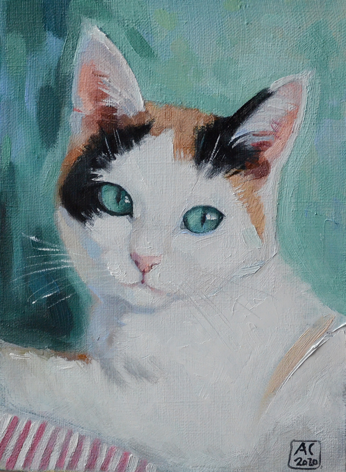 Портрет кошки, портрет кошки маслом, портрет на холсте