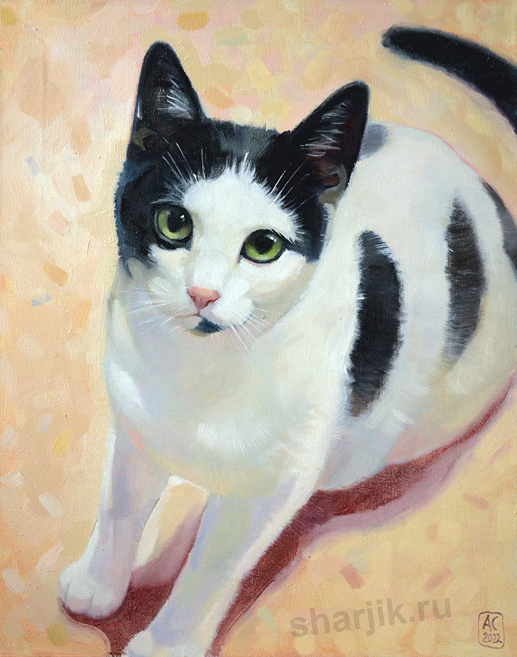 Портрет кошки маслом на холста, заказать реалистичный портрет кошки.
