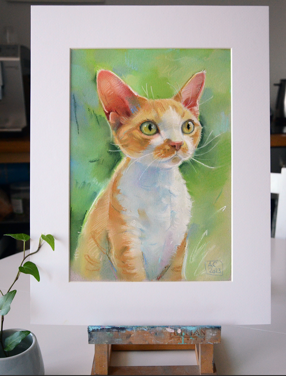 Портрет Девон рекса, нарисовать девон рекса, портрет рыжего кота, заказать красивый портрет кошки